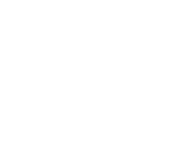 npz creative equestrian horse white