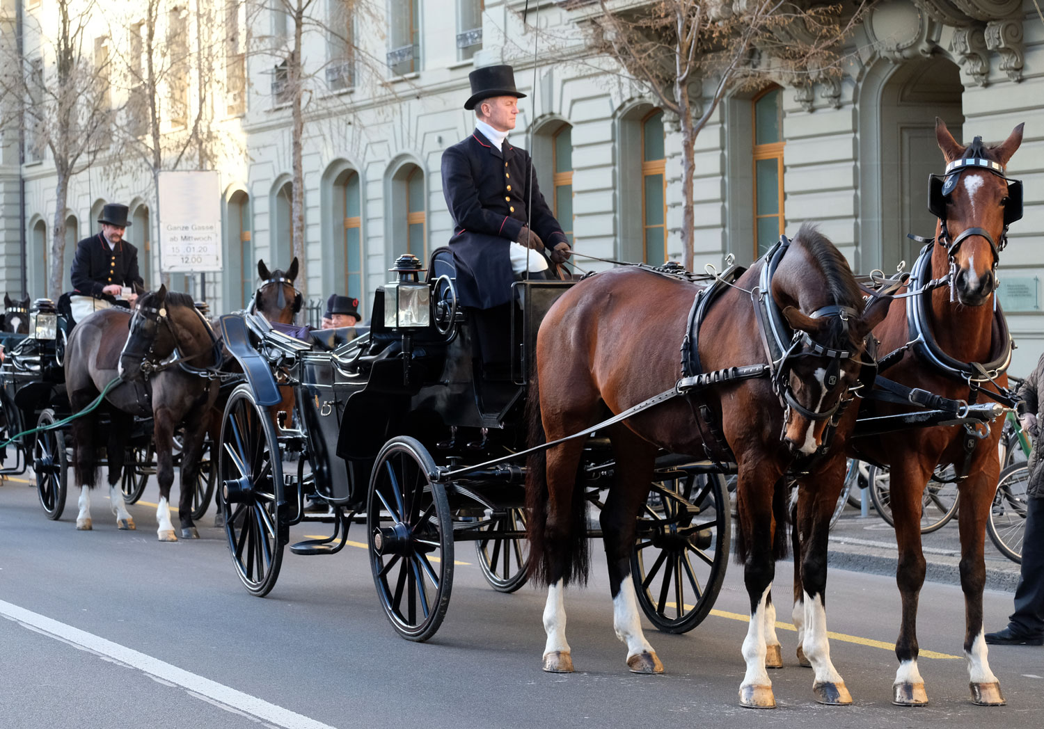 Swiss equine competence centre